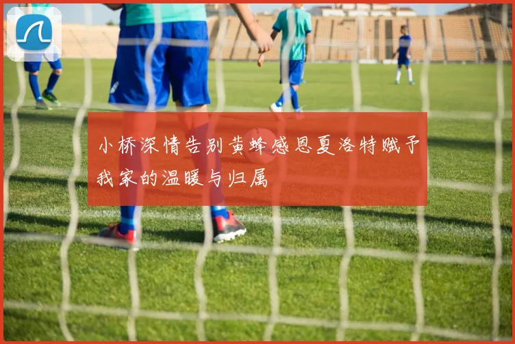 小桥深情告别黄蜂感恩夏洛特赋予我家的温暖与归属